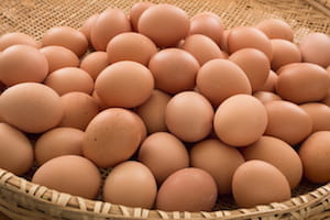 whole egg nutrition to burn body fat