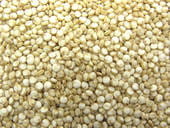nutrition of quinoa seeds